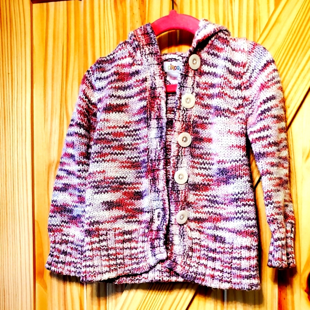 Little Girls Button Front Hooded Sweater Size 3T
